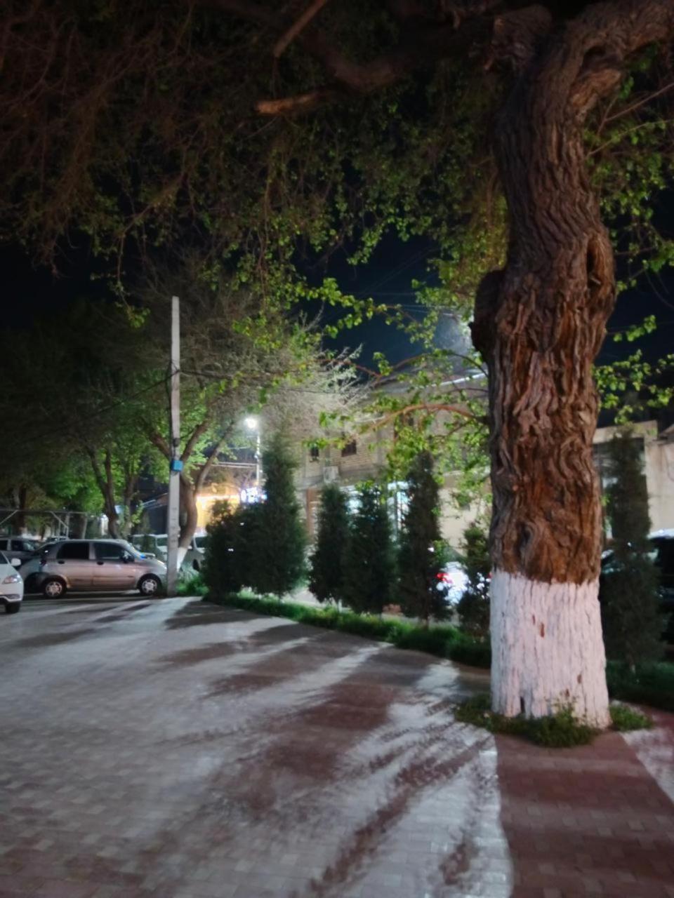 Gulsara Hostel Samarkand Exteriér fotografie