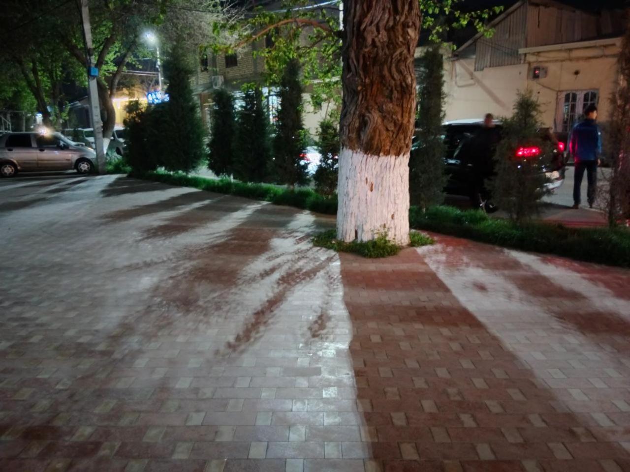 Gulsara Hostel Samarkand Exteriér fotografie